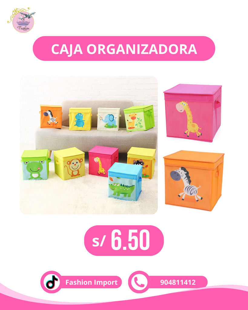 CAJA ORGANIZADORA
