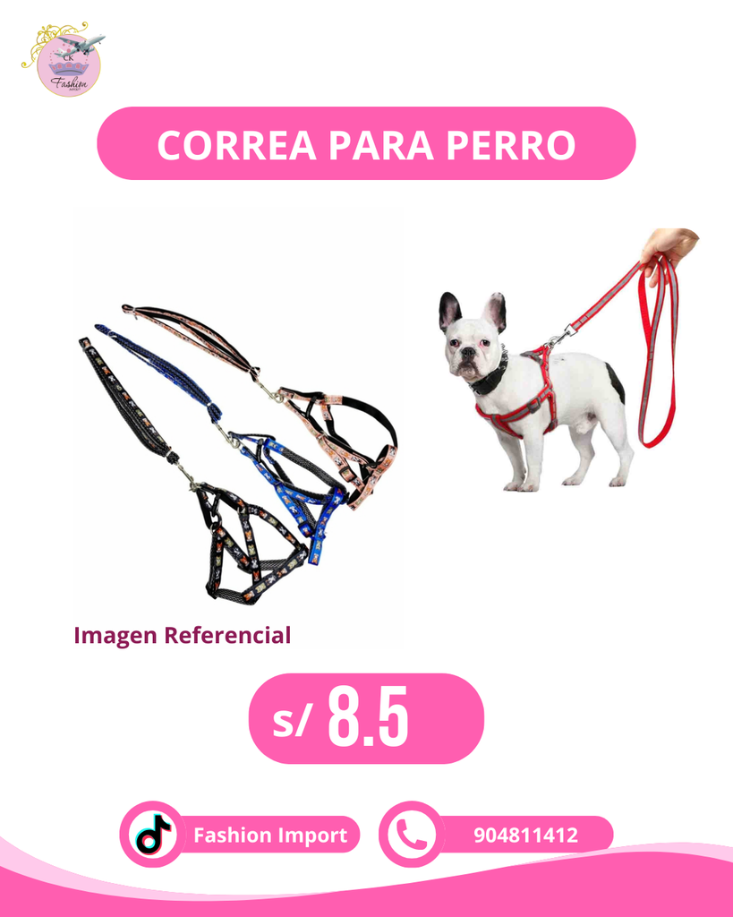 CORREA DE PERRO